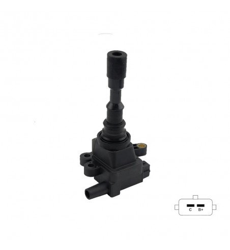 Bobina De Encendido Bosch F01R00A012 Zotie
