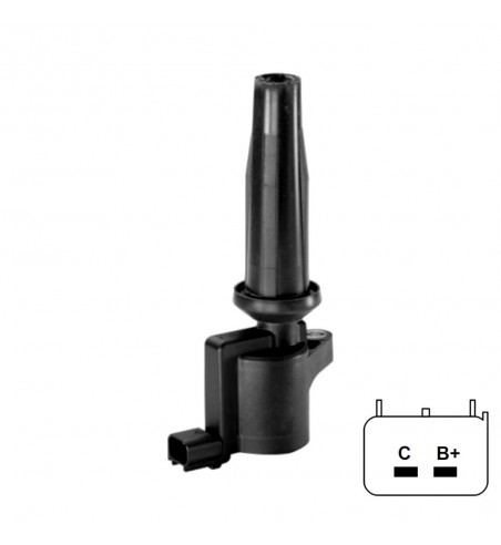 Bobina De Encendido Enzo 10-113 Ford Ecosport
