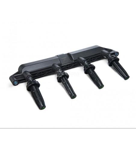 Bobina Encendido Peugeot 206-306 Citroen Pacha Negra central